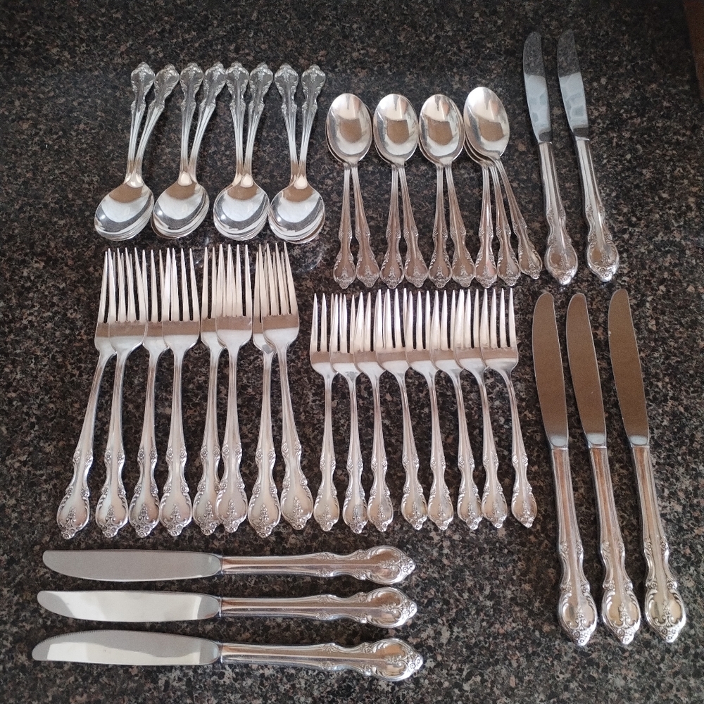 Rogers & Bro Reinforced Plate IS Flatware in Box (41 pieces)